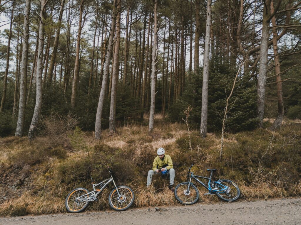 Grizedale Forest, Lake District