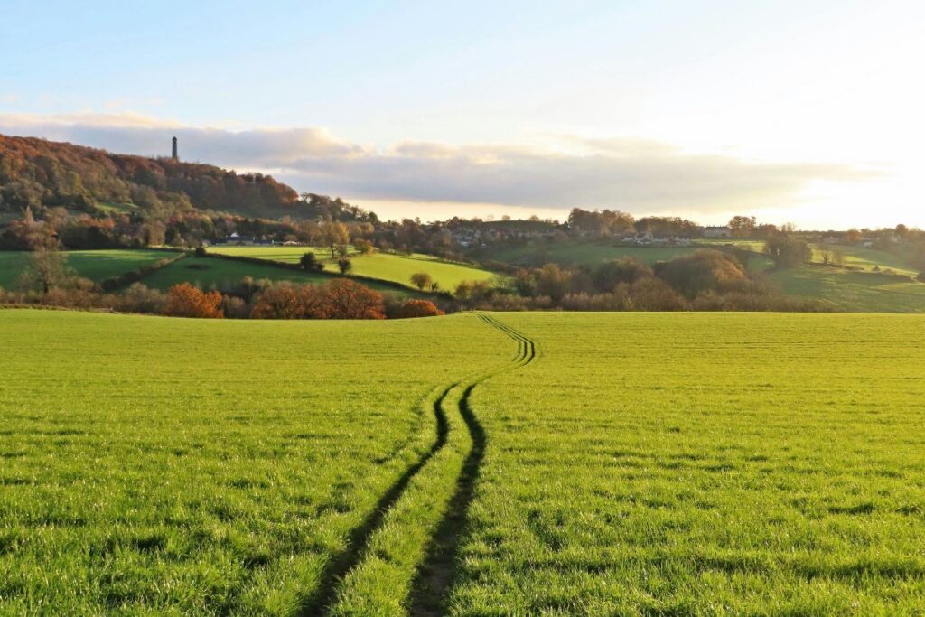 Path through field in Cotswolds