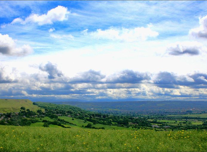 Cleeve Hill, Cotswolds