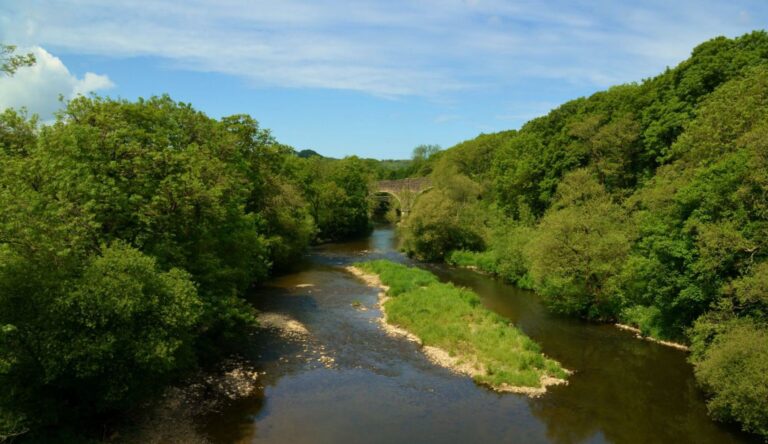 Bridges over the River Torridge on the Tarka Trail, Devon