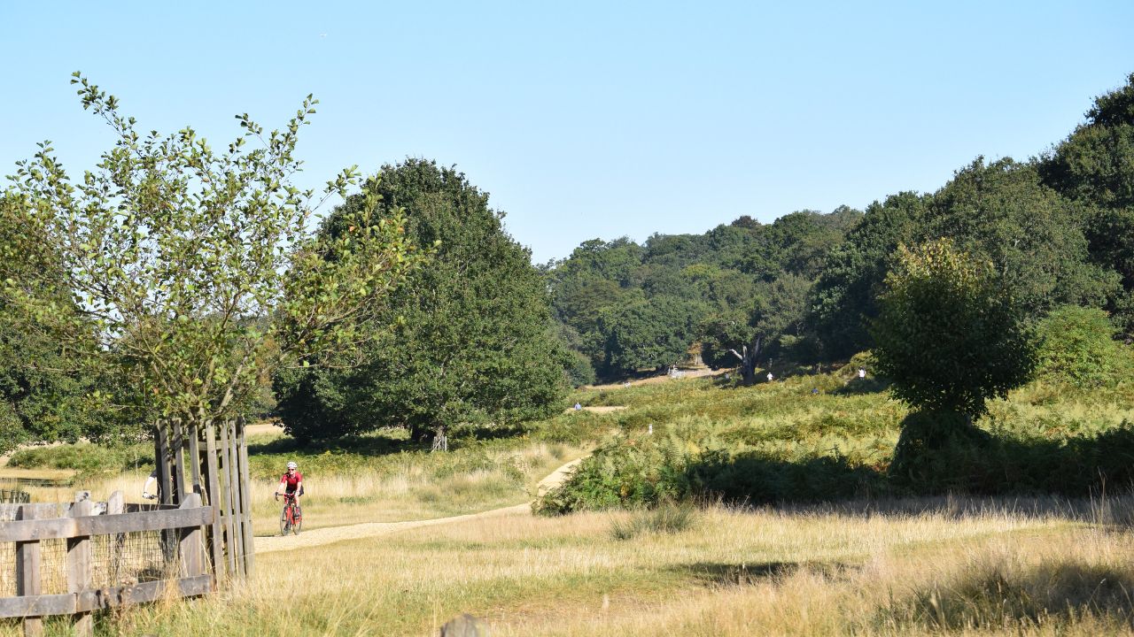 Cyclist on the Thames Path in Richmond Park, London