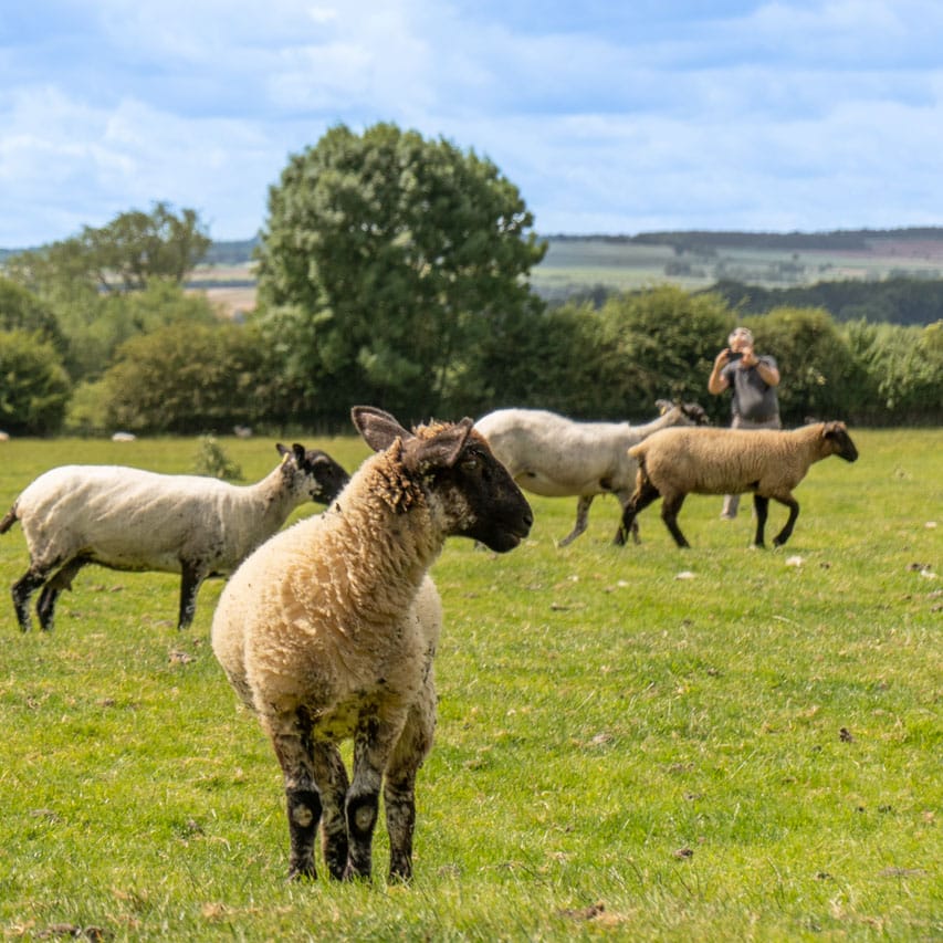 cotswolds england travel guide