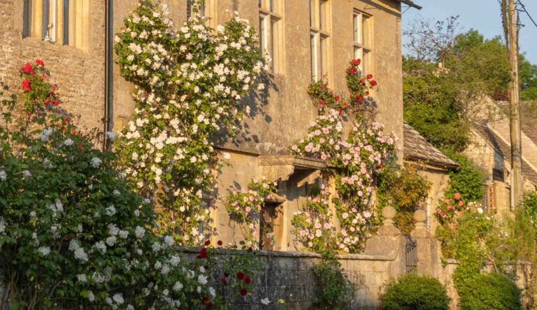 Cotswold house with spring flowers