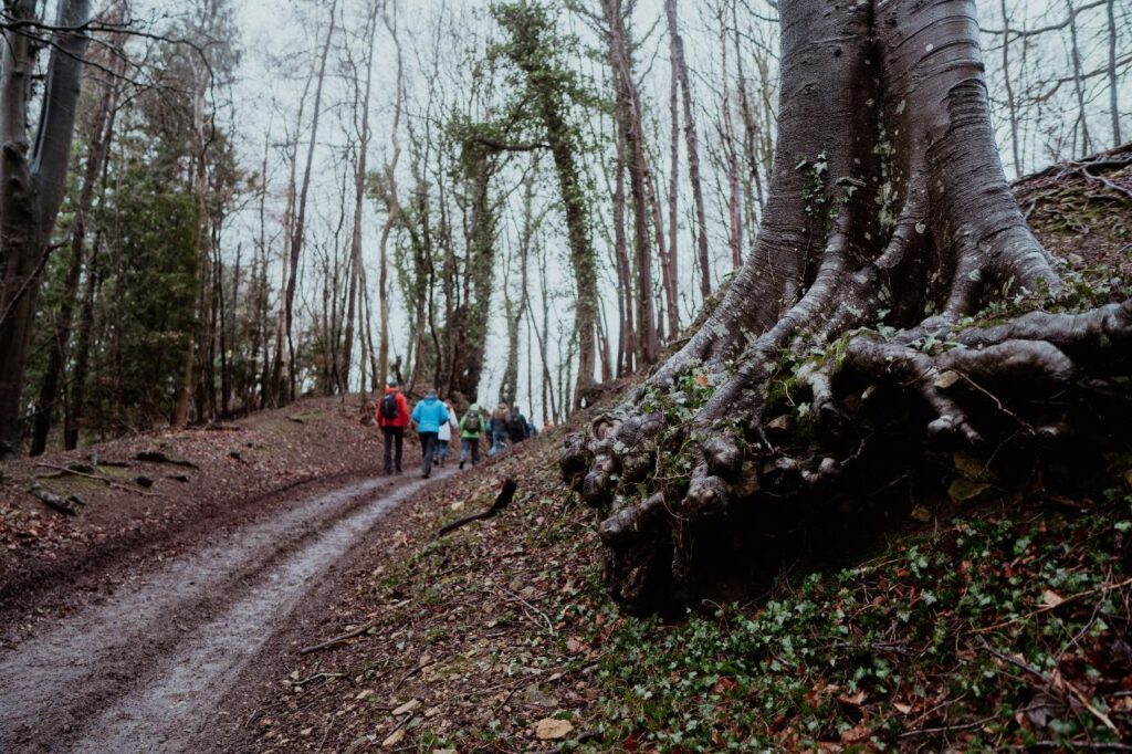 Walkers in winter through a wood