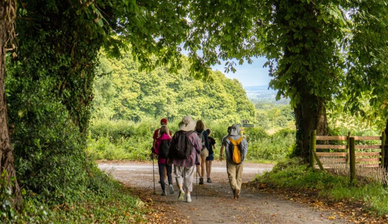 Walkers under trees, Cotswolds