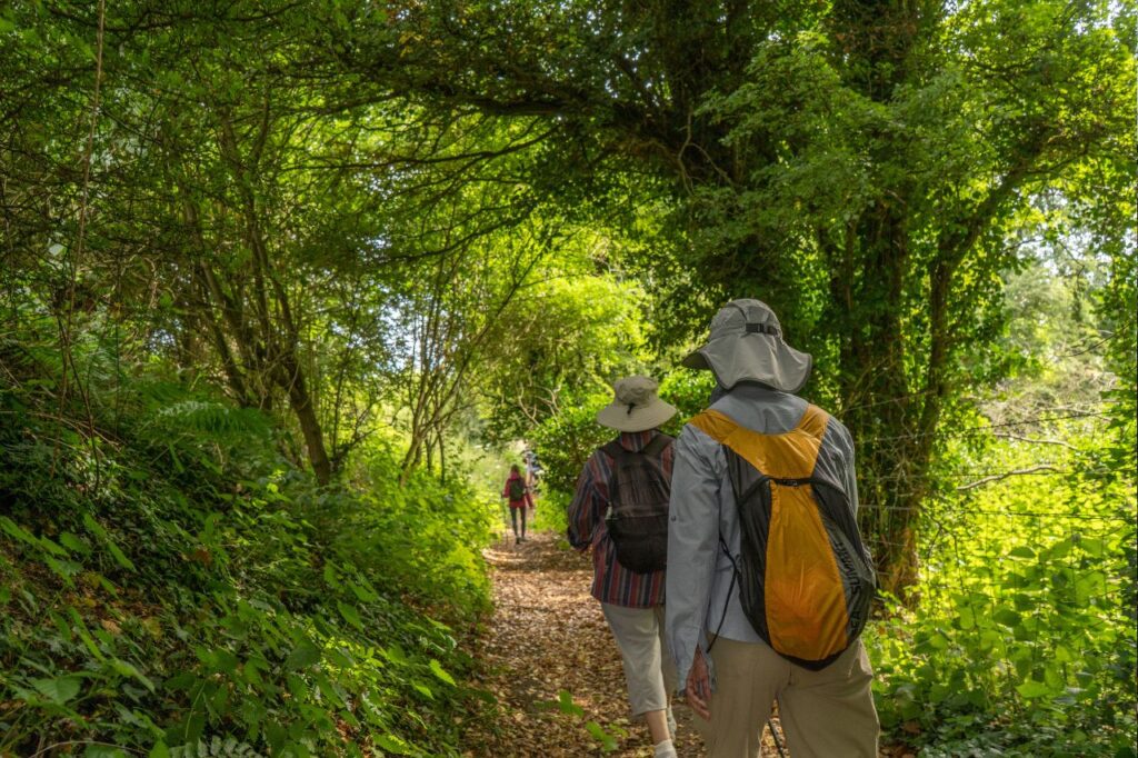 Walkers on a footpath, early summer, Cotswolds