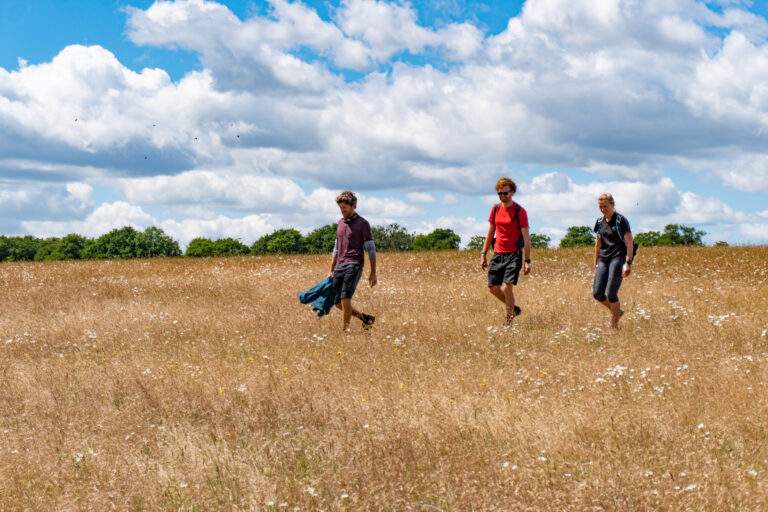 field-cotswolds-walking-group