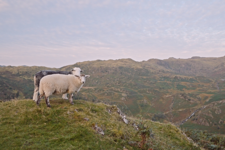 walk the north gallery -lake district