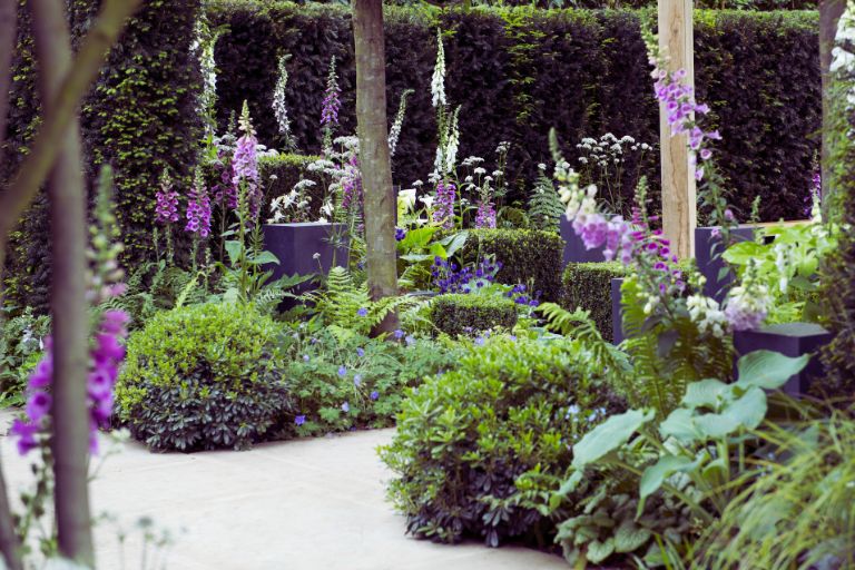 show-garden-1-tour-gallery