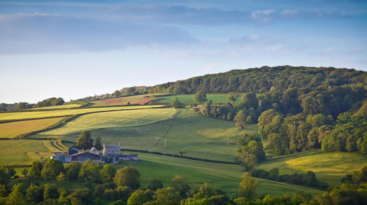 1776-american-independence-5_rsz_26022026101548004jpg