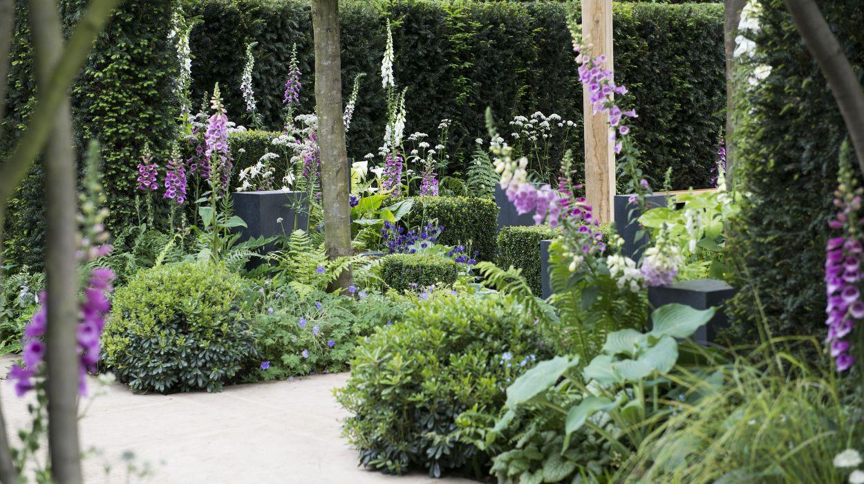 social-season-flowers-gallery-2_rsz_07102025144005573jpg