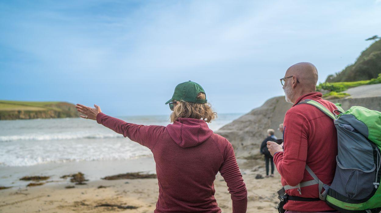 swim-wild-dip-devon-tour-gallery-4_rsz_07102025124124946jpg