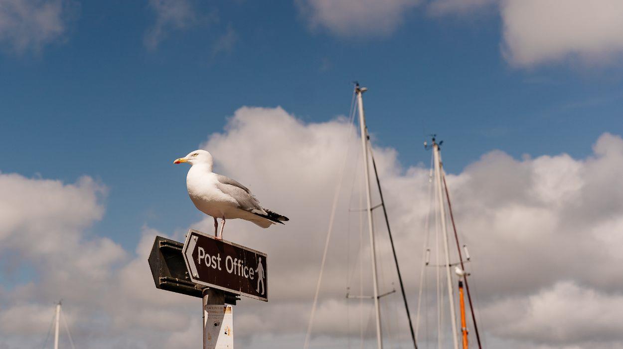 walk-cornwall-guided-tour-gallery-4_rsz_04092025115730420jpg
